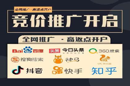 谷歌SEM与移动端优化：某APP的推广策略及效果